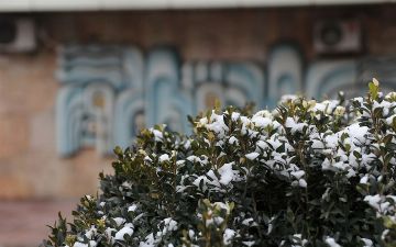 Стало известно, когда в Узбекистане закончатся морозы 