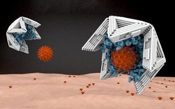 Ученые разработали нанокапсулы, которые захватывают и нейтрализуют вирусы