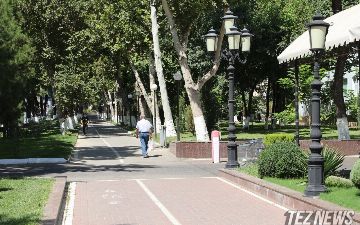 В Узбекистан вернется 40-градусная жара — прогноз погоды