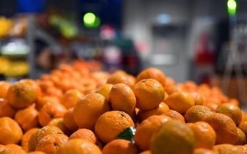 Эксперты заявили, что пакистанские мандарины обрушили цены на рынке Узбекистана