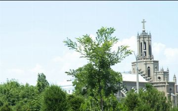 Узгидромет сообщил о погоде на предстоящую неделю 