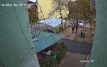 «Вы ничего не добьётесь, я убивал и буду убивать», - стали известны подробности о кошачьем маньяке в Яшнабадском районе