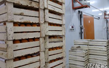 При экспорте в Европу узбекским предпринимателям возместят до 70% расходов