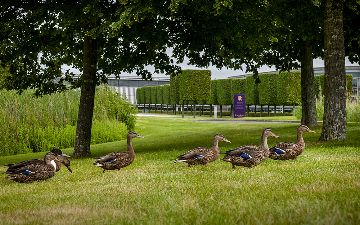 У Rolls-Royce появились уточки