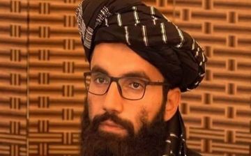 Талибан высоко оценил заявление МИД Узбекистана