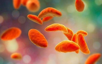 Врачи рассказали об эффективном способе лечения онкологии