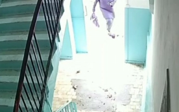 В Ташкенте оштрафовали пенсионерку, пнувшую кота (видео)