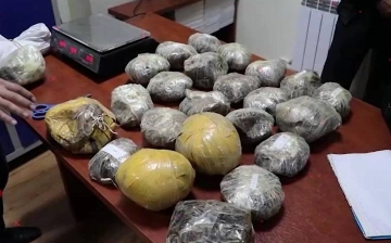 За месяц в Узбекистане изъяли свыше 500 кг наркотиков