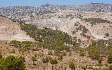 Восемь стран осудили решение Израиля расширить контроль на Западном берегу Иордана