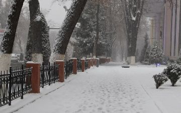 В Узбекистане местами «потеплеет» до нуля 
