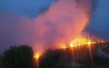 Фермер из Ташобласти сжег остатки стерни на пустыре: ущерб составил 118 млн сумов