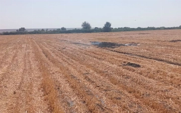 Житель Ахангарана избил прибывшего с проверкой экоинспектора