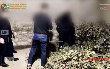 В Бухаре обнаружили 54 килограмма наркотиков, принадлежащих афганистанцу 