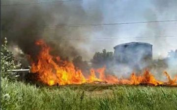 В Ташкенте загорелся Ботанический сад 