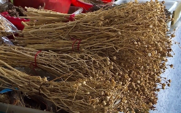 Через Россию пытались незаконно провезти тонну узбекского исрыка