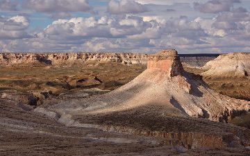 В Узбекистане создан национальный природный парк «Южный Устюрт»