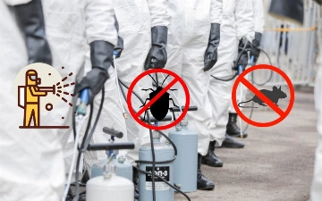 Компания Big Master предлагает 25% скидку на услуги дезинфекции, дезинсекции и дератизации