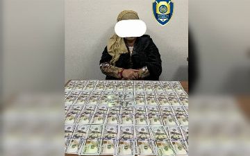 В Ташобласти задержали женщину, пытавшуюся незаконно продать земельный участок за 25 тысяч долларов