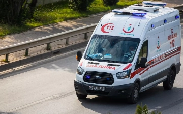 В Турции выявили первый случай заражения оспой обезьян