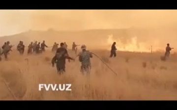 В Сурхандарье на большой площади леса вспыхнул пожар - видео