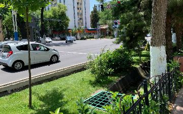 За сколько метров от стоп-линии нужно остановиться, чтобы не получить штраф?