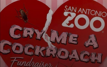 В зоопарке Сан-Антонио можно назвать таракана в честь бывшего