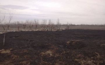 В Самаркандской области мужчина устроил пожар на кладбище и теперь заплатит штраф 