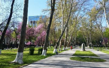 Узгидромет сообщил о погоде на предстоящую неделю