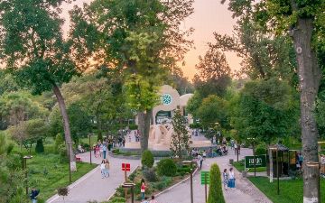 В Узбекистане предложили штрафовать ответственные организации за неправильную посадку деревьев