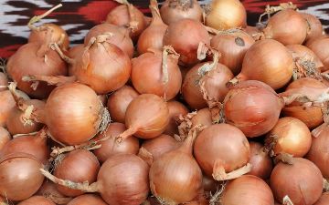 На продуктовых рынках Ташкента введут систему, которая позволит узнать цены на продукты питания 