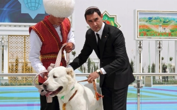 В Туркменистане ограничили вывоз алабаев
