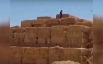 В Сырдарье уволенный электрик из мести поджег солому предприятия на 673 млн сумов