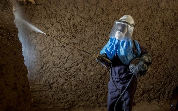 Заболеваемость малярией в мире возросла на 16 млн случаев