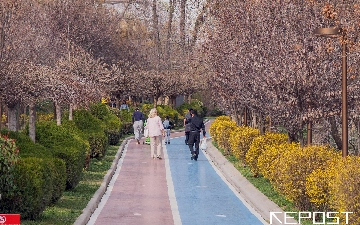 Потепление до +25 градусов: какая погода ждет узбекистанцев на выходных