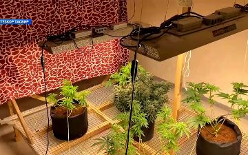 В Ташкенте накрыли подпольную нарколабораторию