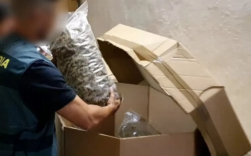 В Испании полиция конфисковала самую крупную партию конопли в истории