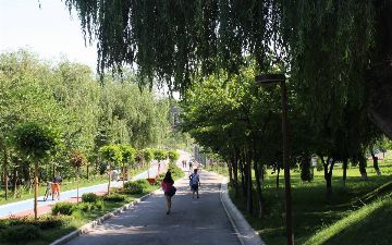 Прошедшим 10 тысяч шагов в день узбекистанцам предоставят льготы на госуслуги