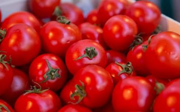 Какое свойство томатов может вас удивить — рассказываем