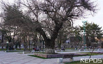 Узбекистан вошел в шестерку худших стран по экологии