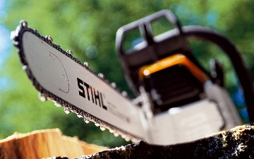 Вынесен приговор гражданам, срубившим многолетние чинары в Ташобласти