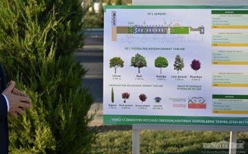 На развитие одной из улиц Ташкента направят свыше 80 млрд сумов