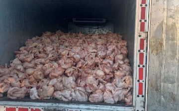 В Самарканде мужчина перевозил почти пять тонн мяса с нарушением санитарных требований