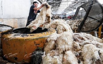 Ряд столичных предприятий и убойных цехов переместят в Ташобласть, чтобы избавить жителей от зловония <br>