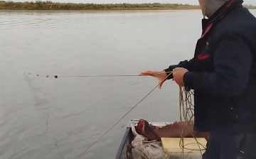 Задержаны браконьеры, пытавшиеся утопить экоинспекторов в Ташобласти