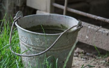 В Джизакской области нетрезвый мужчина убил сожителя ведром