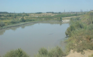 Жительница Самарканда пыталась покончить с собой и тремя детьми — двое из них погибли