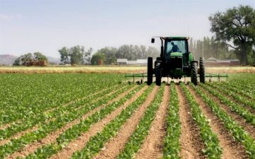 Председатель ассоциации экспортёров назвал две серьезные проблемы на рынке Узбекистана