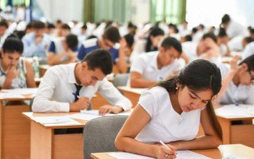 В Узбекистане планируют создать Центр профессионального обучения и сертификации