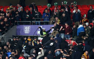 Английская полиция избила венгерских фанатов дубинками - видео