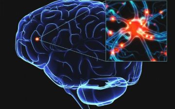 Коронавирус влияет на мозг человека – каким образом?